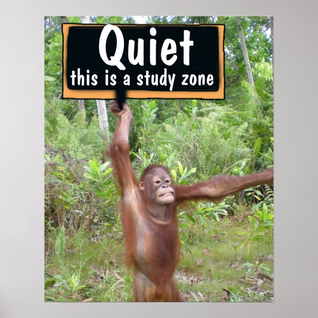 Ruhige Unterrichtsräume Poster (Vorne)