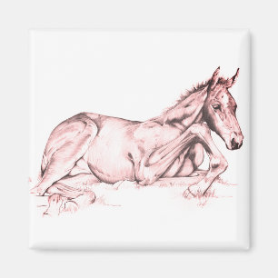 Ruhige Zeit (Lachs) Magnet