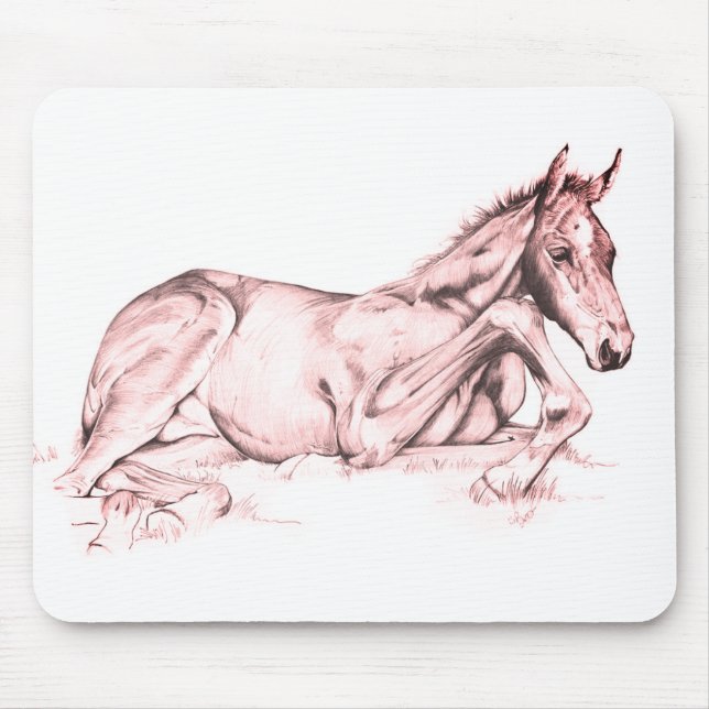 Ruhige Zeit (Lachs) Mousepad (Vorne)