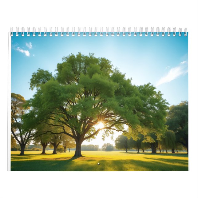 Ruhige Zeit mit einem großen Baum  Kalender (Titelbild)
