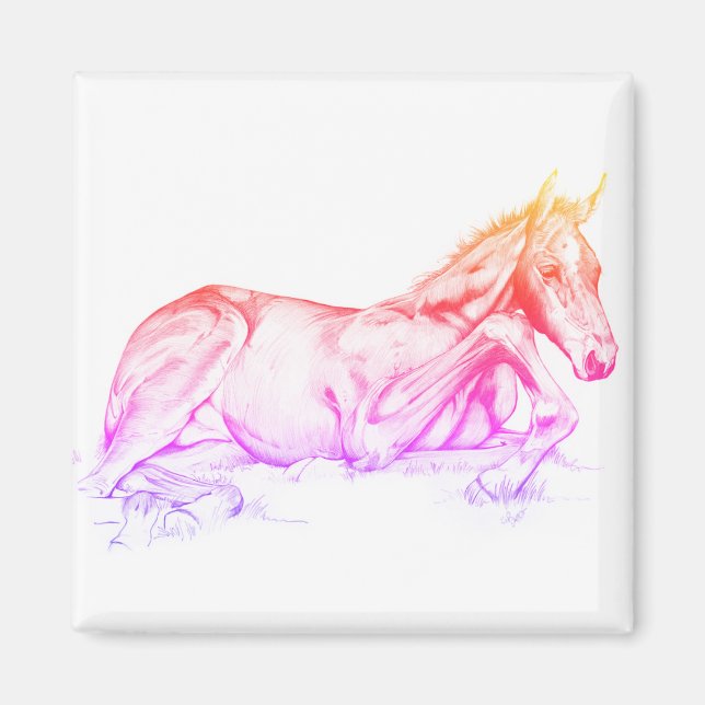 Ruhige Zeit (Regenbogen) Magnet (Vorne)