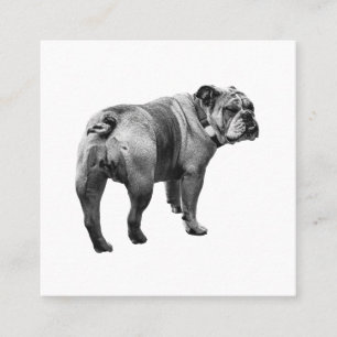 Ruhiger Bulldogge, sanftes Emblem Quadratische Visitenkarte