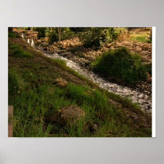 Ruhiger grüner Bach in der Landschaft - Rustikale  Poster