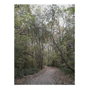 Ruhiger Herbstwaldweg – Skandinavische Edition Poster