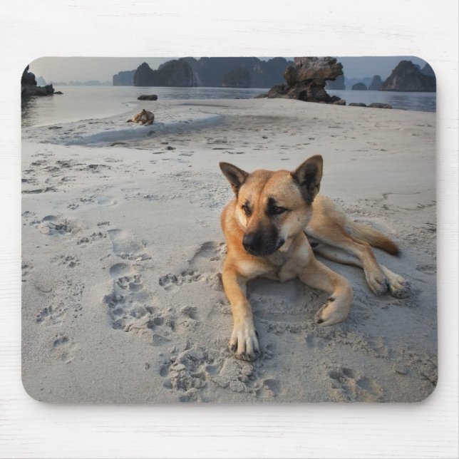 Ruhiger Hund am Strand Mousepad (Vorne)