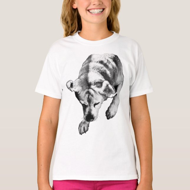 Ruhiger Pfeil - Overhead-Labrador T-Shirt (Vorderseite)