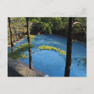 Ruhiger Pool - Fort Worth Water Garden # 3 Postkarte