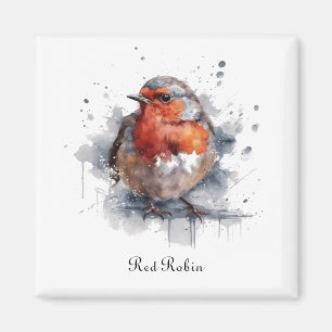 Ruhiger Robin, individuell Magnet