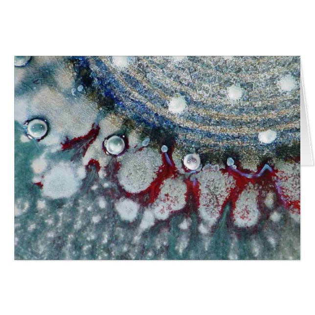 Ruhiger Seemann (Vorderseite (Horizontal))