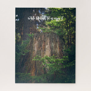 Ruhiger Sommerwald Puzzle