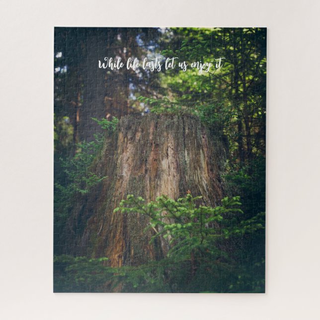 Ruhiger Sommerwald Puzzle (Vertikal)