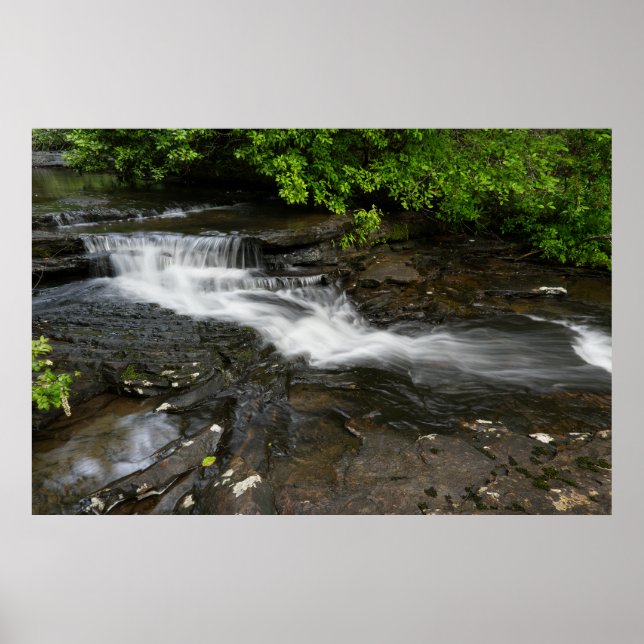Ruhiger Waldwasserfall Poster (Vorne)