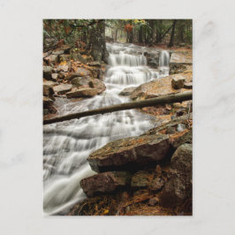 Ruhiger Waldwasserfall Postkarte