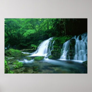 Ruhiger Wasserfall Poster