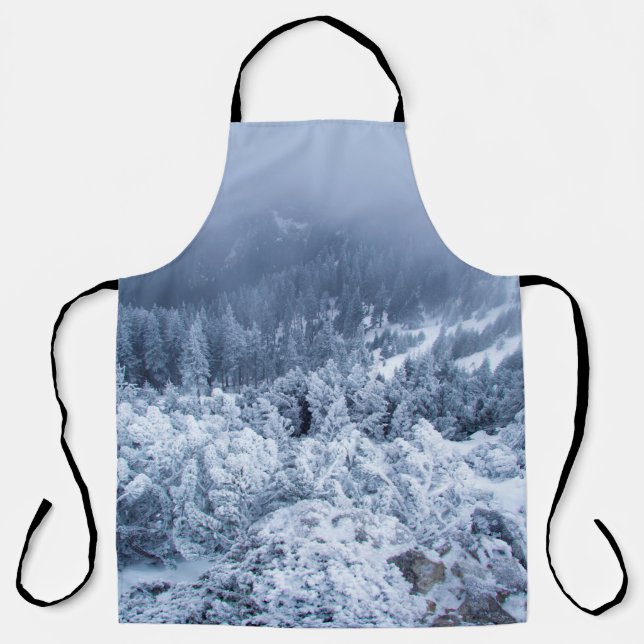 Ruhiger Wintertag auf der Bergspitze Schürze (Vorderseite)