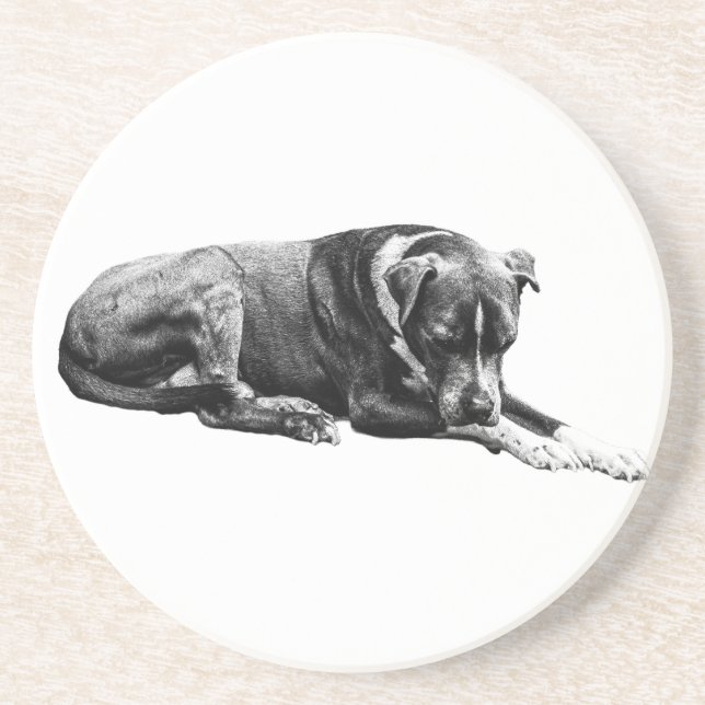 Ruhiges Paws-Untersetzer-Set Getränkeuntersetzer (Vorne)