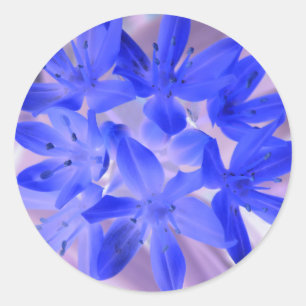 Ruhm der schneebedeckenden blauen Aufkleber