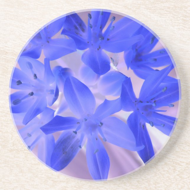 Ruhm der schneebedeckenden blauen Untersetzer (Vorne)