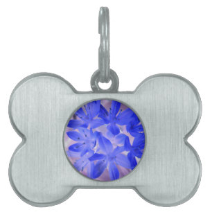Ruhm der schneebedeckten Blue Pet-Markierung Tiermarke