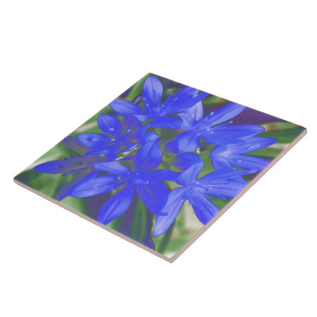 Ruhm der schneefluoreszierenden blauen Tile Fliese (Seite)