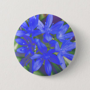 Ruhm der schneefluoreszierenden Blautaste Button