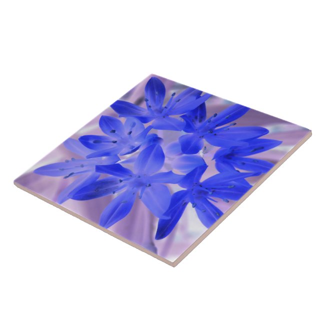 Ruhm der schneeschockierenden blauen Tile Fliese (Seite)