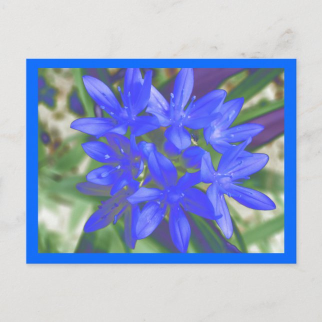 Ruhm der strahlend blauen Postkarte (Vorderseite)