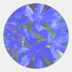 Ruhm des schneefluoreszierenden blauen Aufklebers Runder Aufkleber