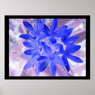 Ruhm des Schnees Schockierend Blauer Druck Poster