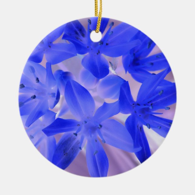 Ruhm des Schnees schockierende blaue Brust Geburts Keramikornament (Vorne)