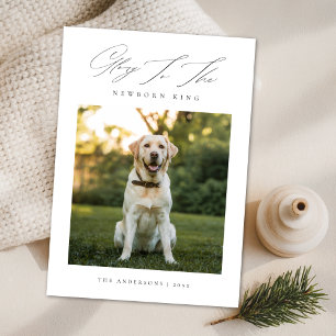 Ruhm für das neugeborene King Dog Foto Weihnachten