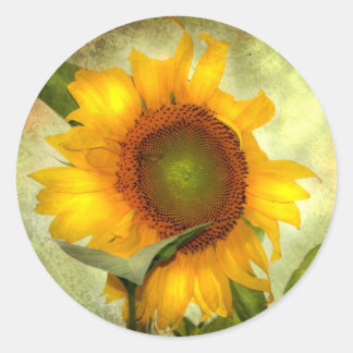 Ruhm Runder Aufkleber