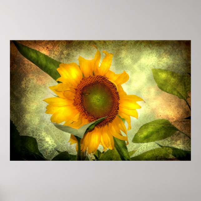 Ruhm (Sonnenblumenposter) Poster (Vorne)