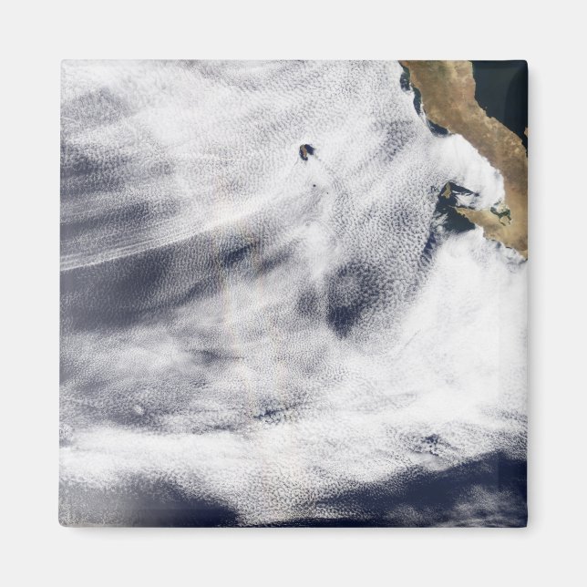 Ruhm über dem Pazifik Magnet (Vorne)