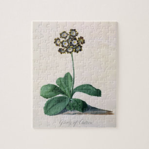 Ruhm von Chilton (Gouache auf Pergament) Puzzle