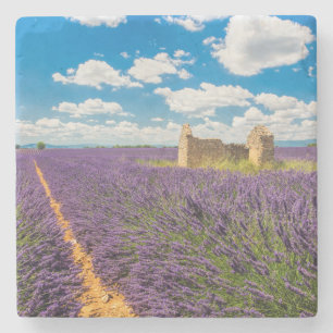 Ruin in in Lavender Field, Frankreich Steinuntersetzer