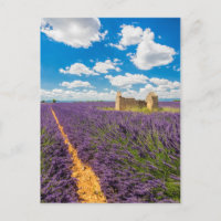 Ruin in Lavender Field, Frankreich