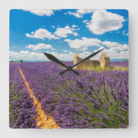 Ruin in Lavender Field, Frankreich