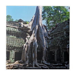 Ruin von Ta Prohm - Angkor Wat, Kambodscha, Asien Fliese