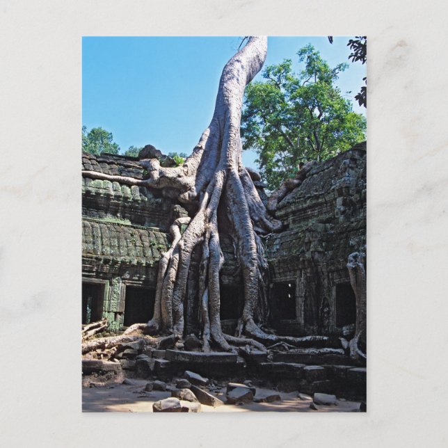 Ruin von Ta Prohm - Angkor Wat, Kambodscha, Asien Postkarte (Vorderseite)