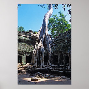 Ruine von Ta Prohm - Angkor Wat, Kambodscha, Asien Poster