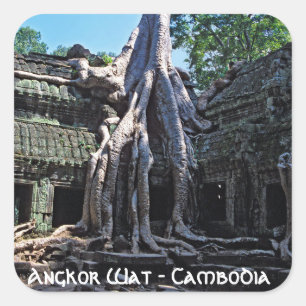 Ruine von Ta Prohm - Angkor Wat, Kambodscha, Asien Quadratischer Aufkleber