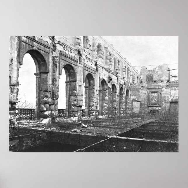 Ruinen des Cour des Comptes Poster (Vorne)