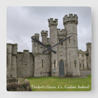 Ruinen des Herrenhauses Duckett's Grove, Grafschaf