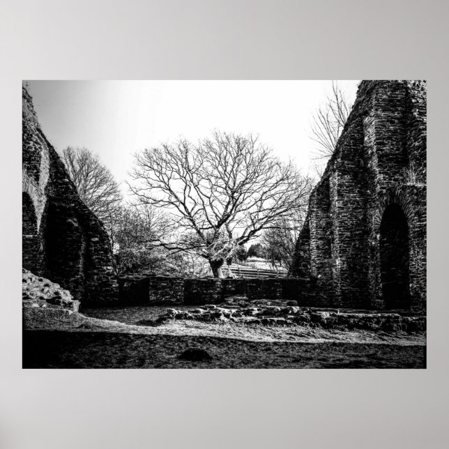 Ruinen Poster (Vorne)