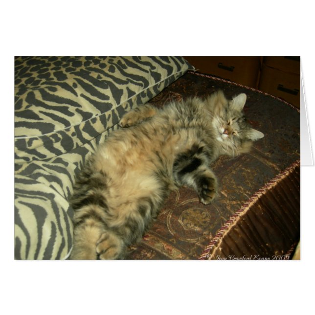 Rum Tum tummy (Vorderseite (Horizontal))