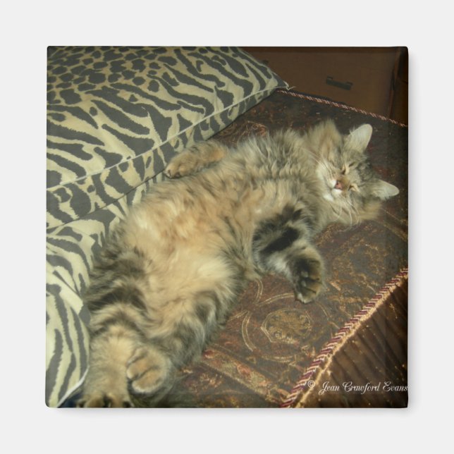 Rum Tum tummy Magnet (Vorne)