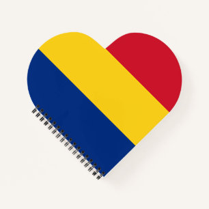 Rumänien-Flagge Notizbuch