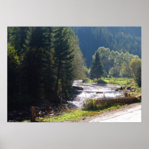 Rumänien, Moldau, Gebirgsbach Poster