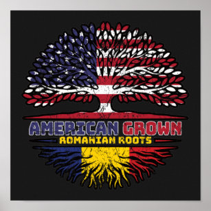 Rumänien Rumänien USA USA USA Vereinigte Staaten Poster